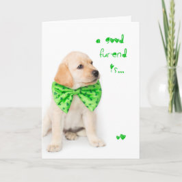 Freundschaft St Patricks Day Puppy Karte
