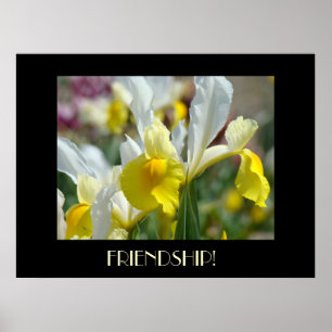 FREUNDSCHAFTSGESCHENK Gelbe Schwertlilien-Blumen K Poster