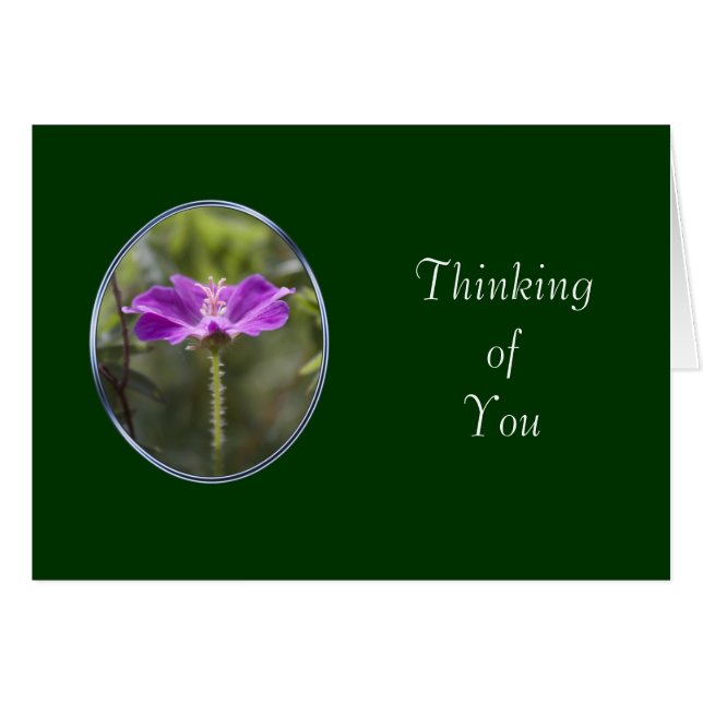 Freundschaftskarte (Vorderseite (Horizontal))