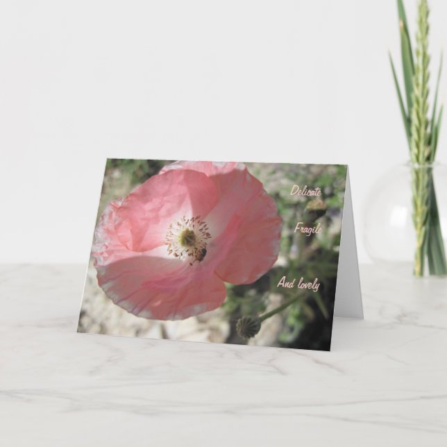 Freundschaftskarte: Delikates Mohn Karte (Vorderseite)