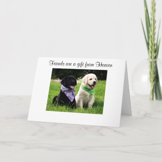 Freundschaftswerbekarte Labrador Retriever Welppie Karte (Vorderseite)