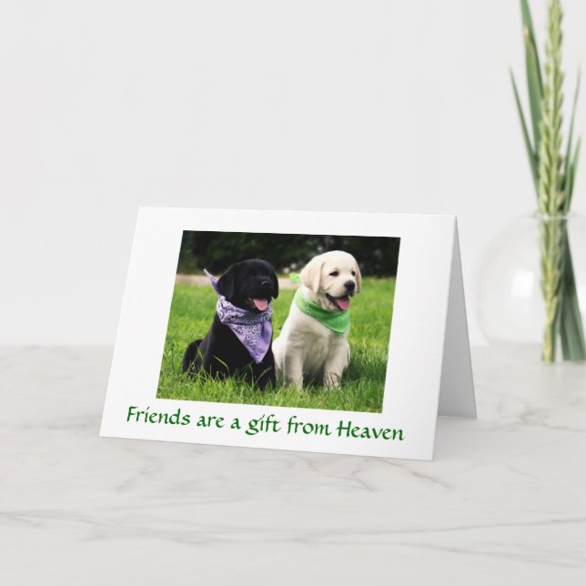 Freundschaftswerbekarte Labrador Retriever Welppie Karte (Vorderseite)