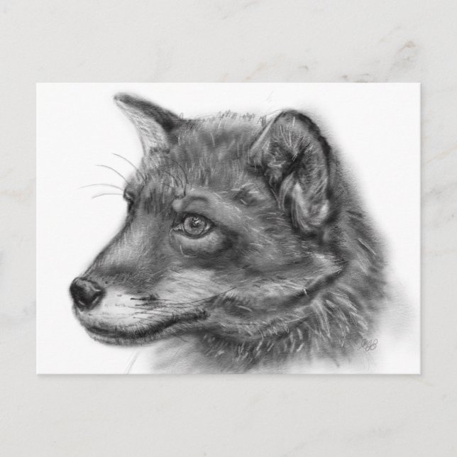 Frida, The Wee Scottish Fox! Postkarte (Vorderseite)