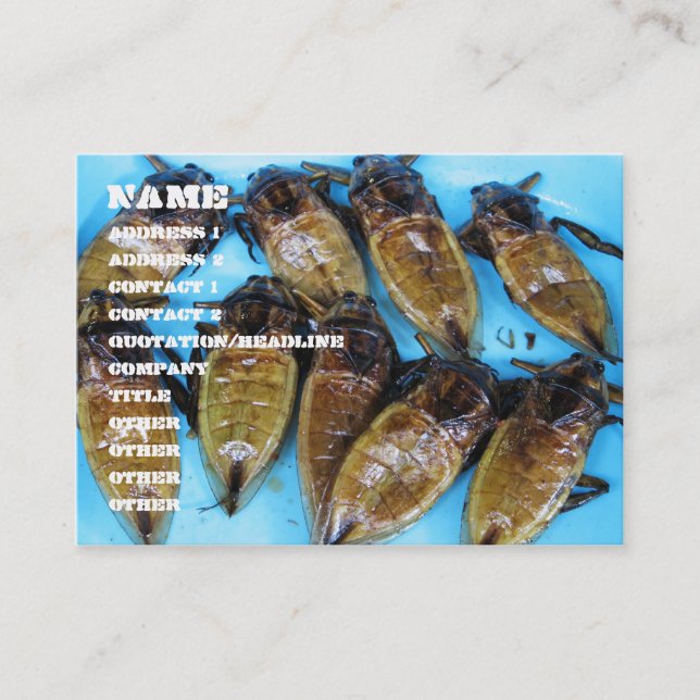 Fried Riant Water Bug (Maeng Daa) ... Asiatische K Visitenkarte (Vorderseite)