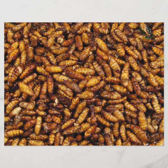 Fried Silk Worms ... Thai Street Food Flyer (Vorne)