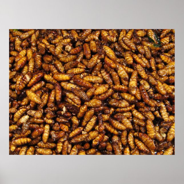 Fried Silk Worms ... Thai Street Food Poster (Vorne)