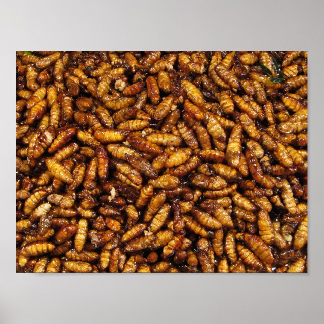 Fried Silk Worms ... Thai Street Food Poster (Vorne)