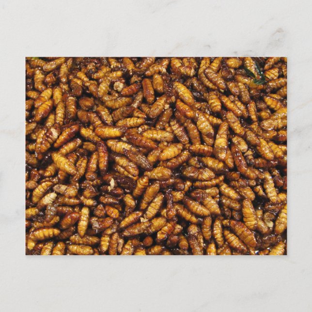 Fried Silk Worms ... Thai Street Food Postkarte (Vorderseite)