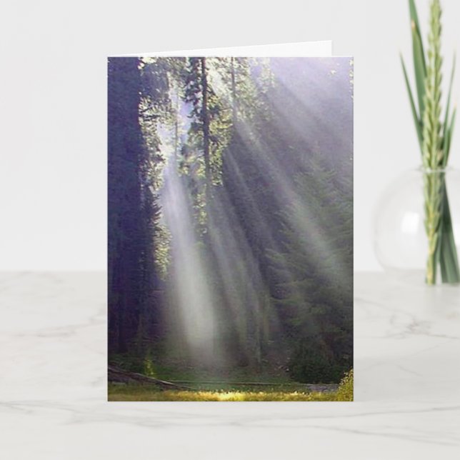 Frieden und Freude Feiertagskarte (Vorderseite)