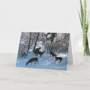Frieden zu Weihnachten Karte