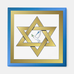 Friedens Taube Davidstern Magnet