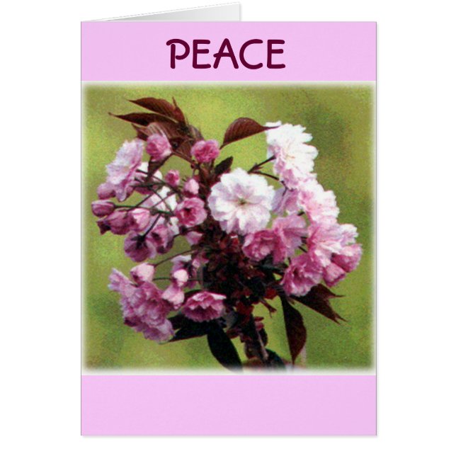 FriedensBlumen (Vorne)