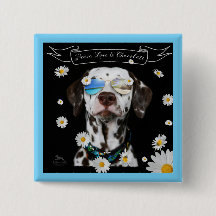 FriedensLiebe-Schokoladen-Dalmatiner