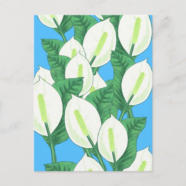 Friedenslily Illustration Postkarte (Vorderseite)