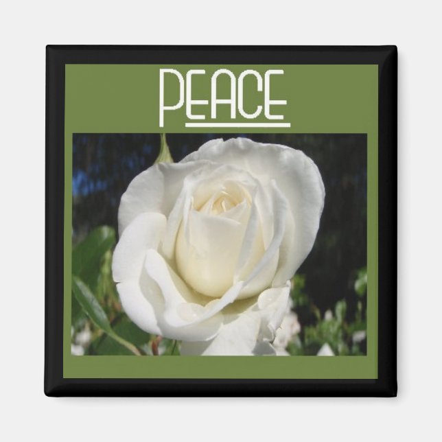 Friedensmagnet Magnet (Vorne)