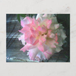 Friedenspostkarte Postkarte