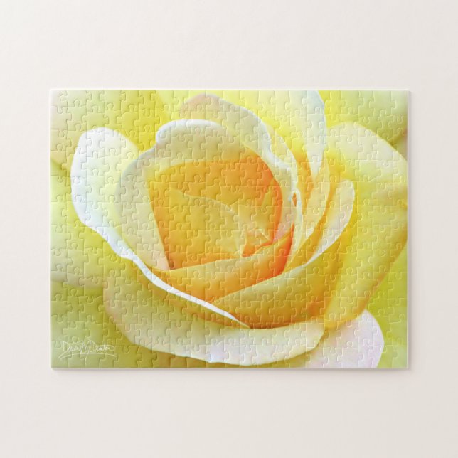 Friedensrose (Horizontal)