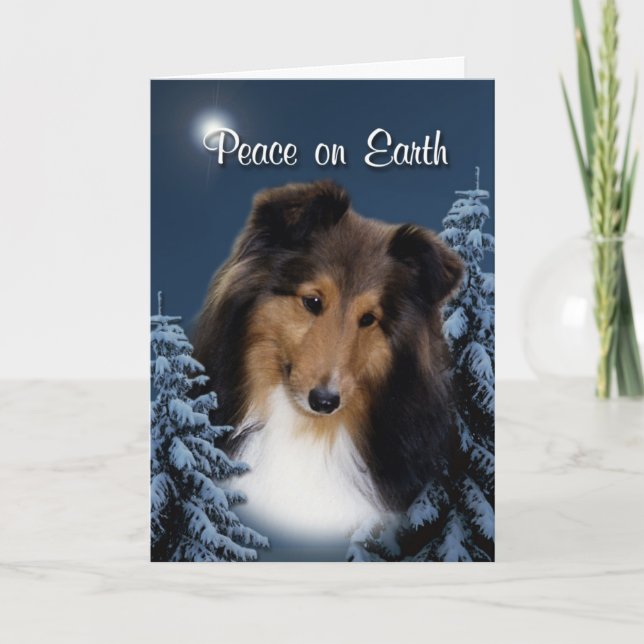 FriedensSheltie Weihnachtskarte Feiertagskarte (Vorderseite)
