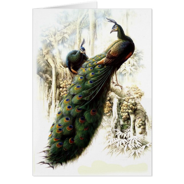 Friedenstruppen (Vorne)