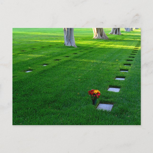 Friedhof Postkarte (Vorderseite)