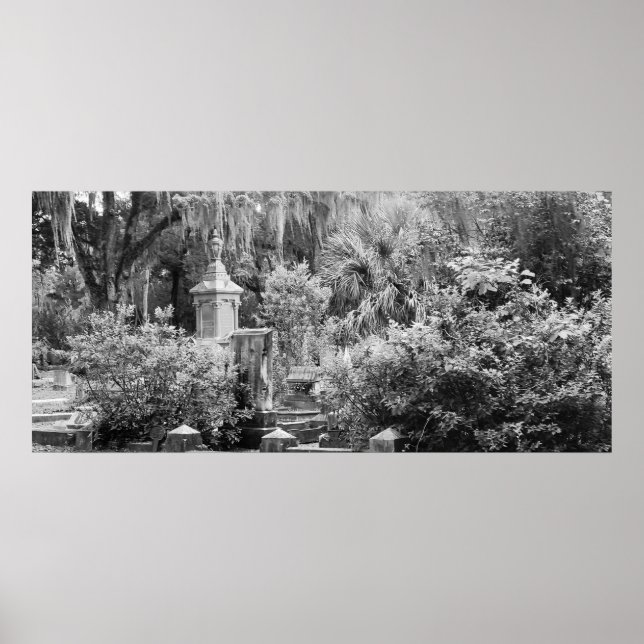 Friedhof, Savannah Ga, MD Fotografie Poster (Vorne)