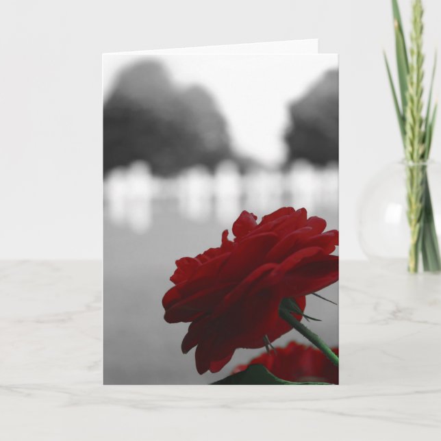Friedhof und Rote Rose - Gedenktag Karte (Vorderseite)