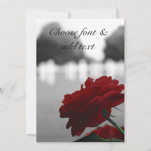 Friedhof und Rote Rose - Gedenktag Karte
