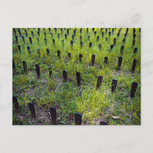 Friedhofsmarker auf dem Friedhof Red Hill Postkarte