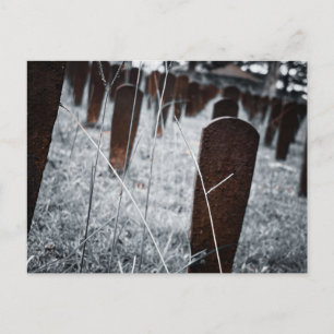 Friedhofsmarker auf dem Friedhof Red Hill Postkarte