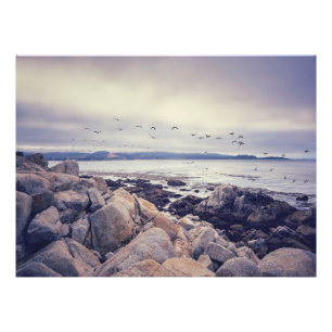 Friedlich morgens fotodruck