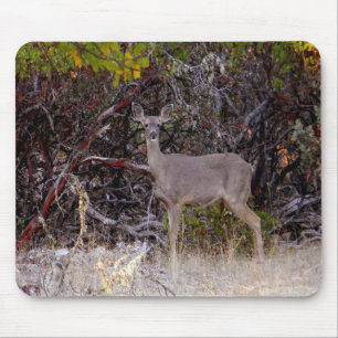 Friedlich.... Mousepad