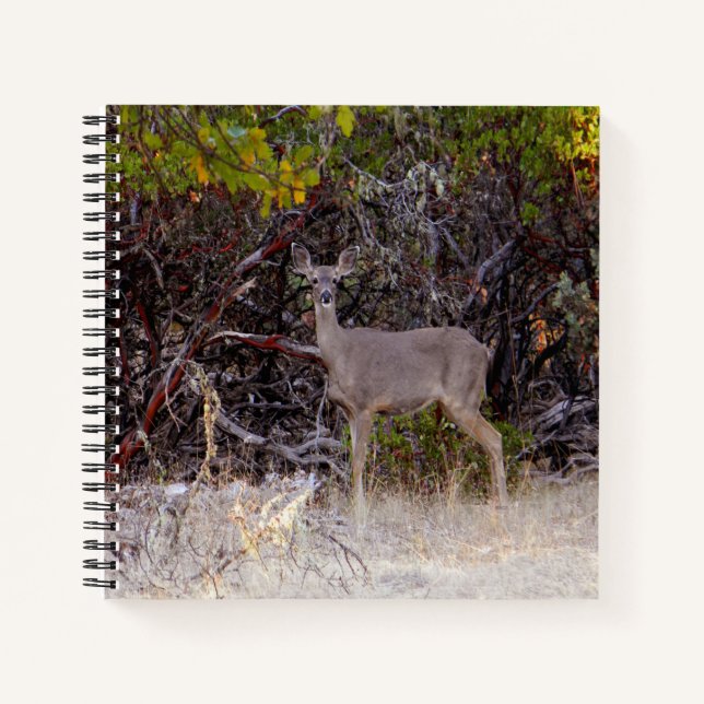 Friedlich... Notizbuch (Vorderseite)