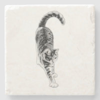 Friedlich Stretch Cat Untersetzer Set