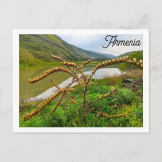Friedliche armenische Landschaft See und grüne Hüg Postkarte