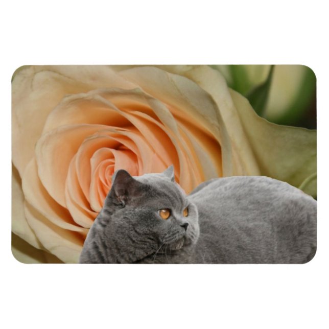 Friedliche Blumen Magnet (Horizontal)