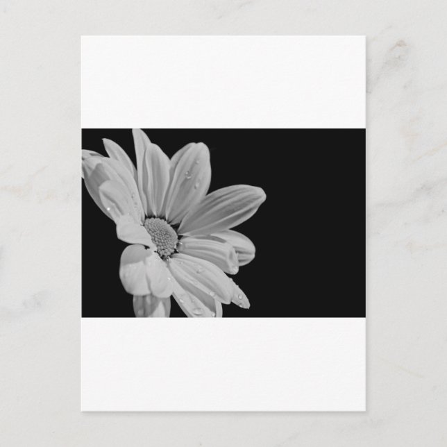 Friedliche Blumen Postkarte (Vorderseite)