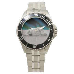 Friedliche Eisbär-Arktis-Natur-Illustration Armbanduhr