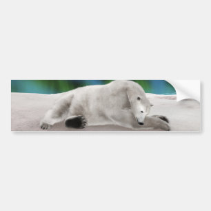 Friedliche Eisbär-Arktis-Natur-Illustration Autoaufkleber