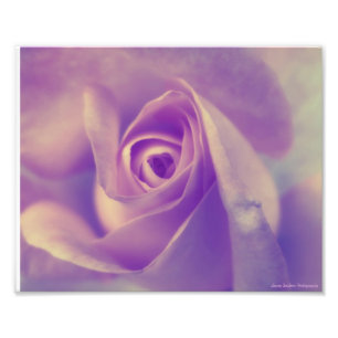 Friedliche Erholung Fotodruck