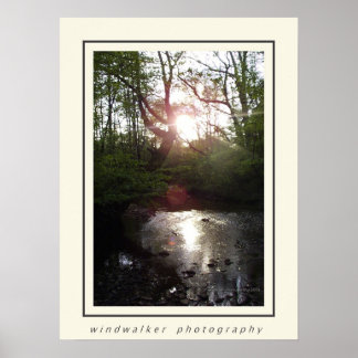 Friedliche Erholung Poster