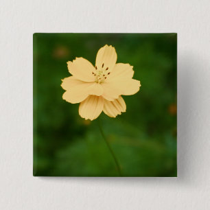Friedliche Harmonie Button
