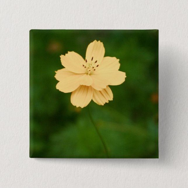 Friedliche Harmonie Button (Vorderseite)