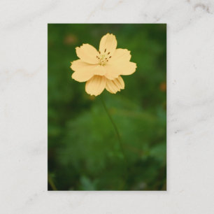 Friedliche Harmonie Mini Print Visitenkarte