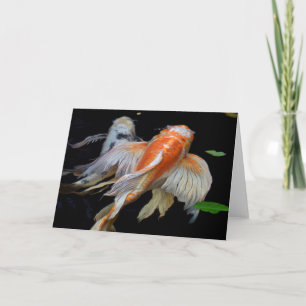 Friedliche Koi Koi-Fisch-Fotografie Blanko Karte