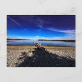 Friedliche Landschaft mit Treibholz Blauer Himmel Postkarte