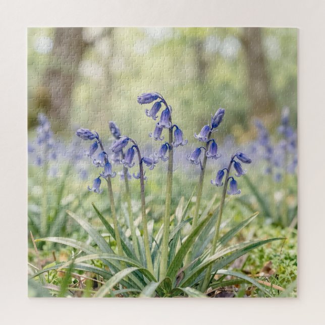 Friedliche lila Blauglockenwaldblüte (Vertikal)