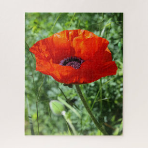 Friedliche Natur-Landschaft-Jigsaw-Puzzle