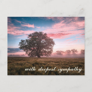 Friedliche Naturszene Baum Sonnenuntergang Sonnena Postkarte