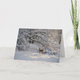 Friedliche Naturszene Hirsch Schnee Weihnachtskart Karte