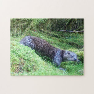 Friedliche Otter Flussufer Natur Wildtiere Ruhig